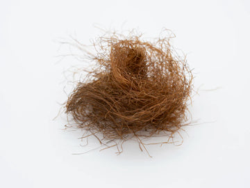 Biotin-Based Supplements for Thinning Hair Solutions